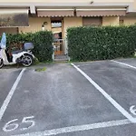 Le Mimose Viareggio