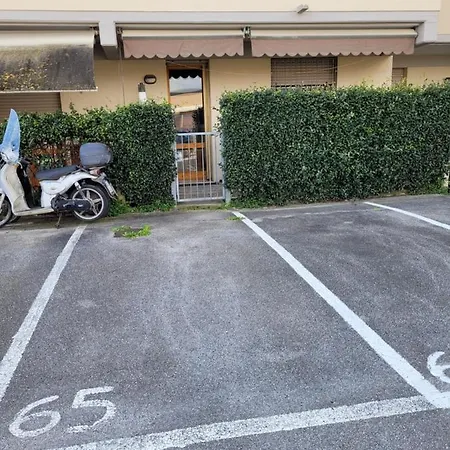 Le Mimose Viareggio