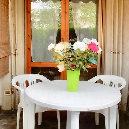 Le Mimose *
